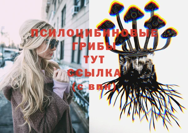 эйфоретик Алзамай